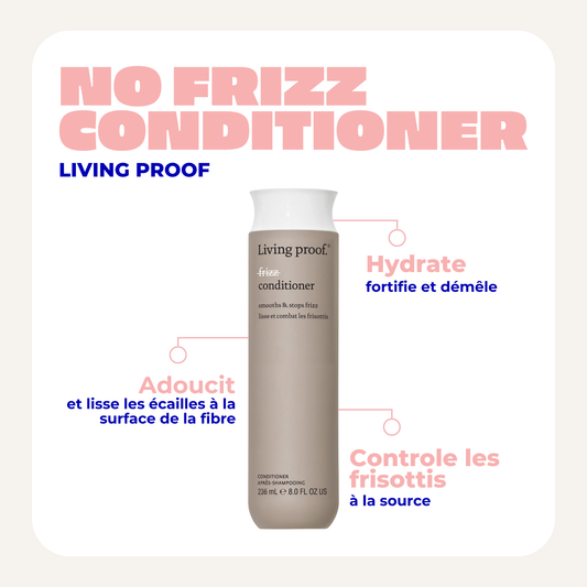 NO FRIZZ CONDITIONER