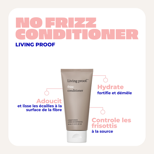 MINI NO FRIZZ CONDITIONER